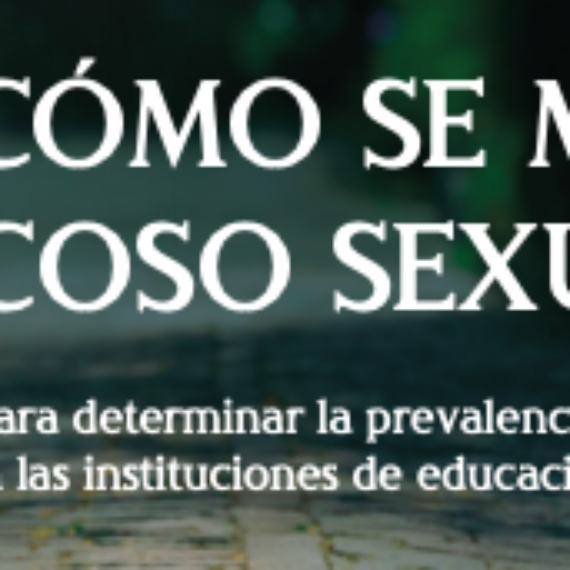 libro: ¿Cómo se mide el acoso sexual? Aportes para determinar la prevalencia del acoso sexual en las instituciones de educación superior